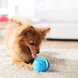 Dog Ball Toy Interactive